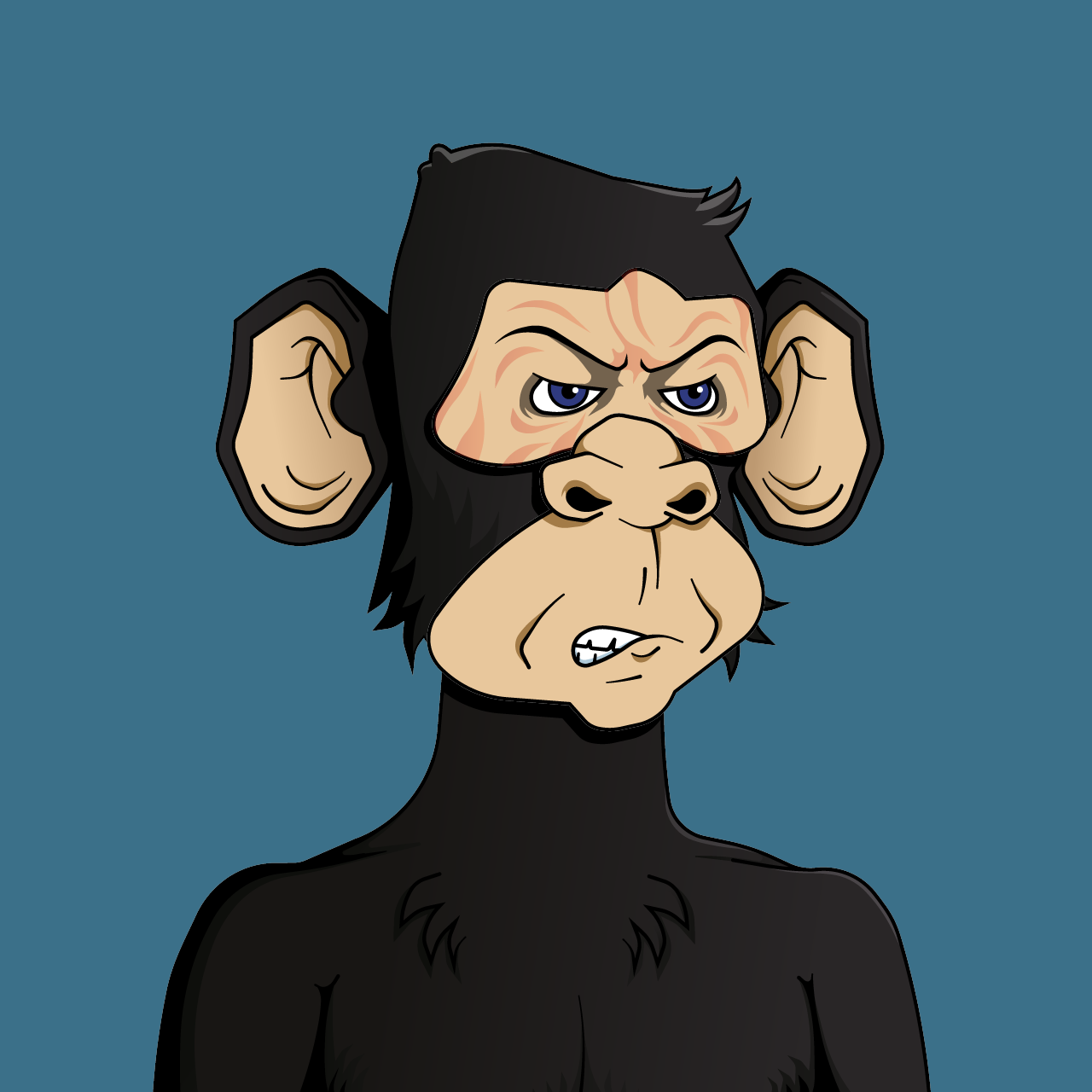 Monkey #2470