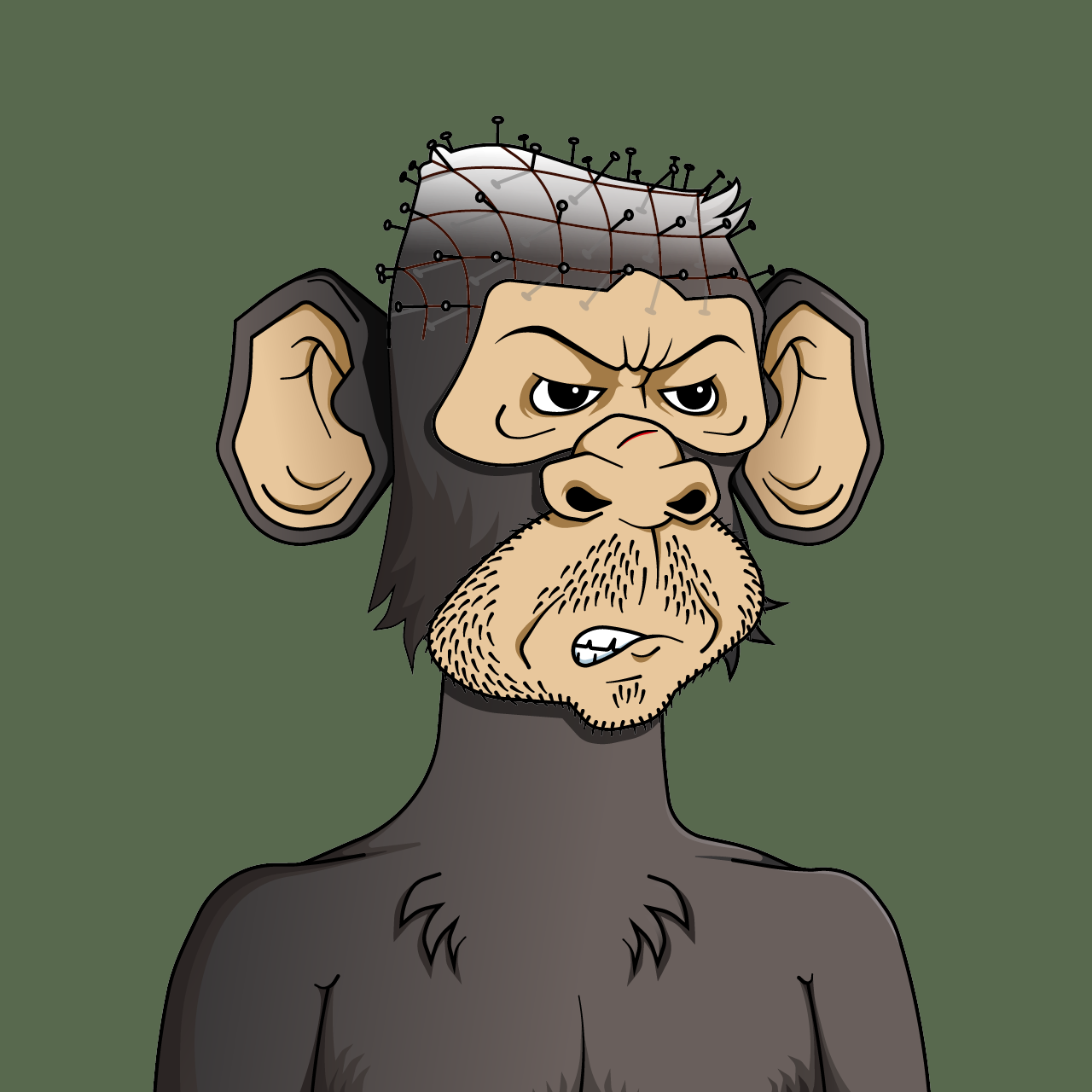 Monkey #5007